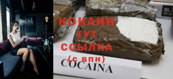 spice Каменка