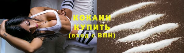spice Каменногорск
