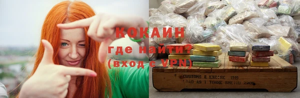 spice Каменка