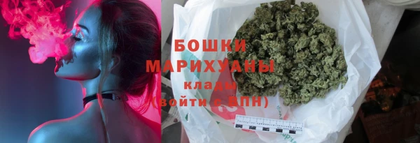 spice Каменка