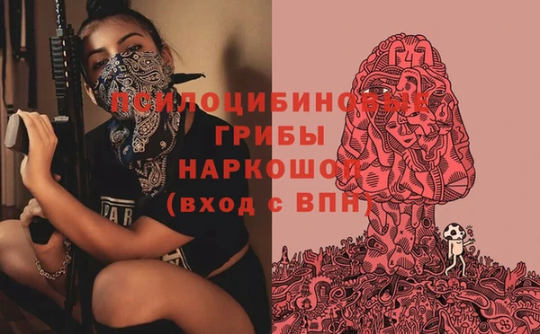 шишки Иннополис
