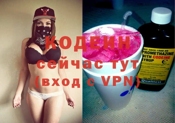 трава Инта
