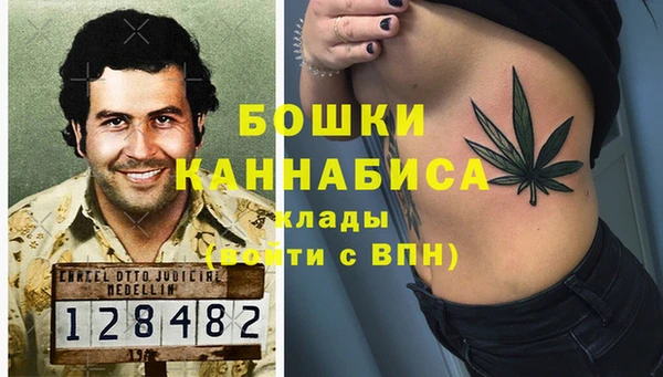 spice Каменка