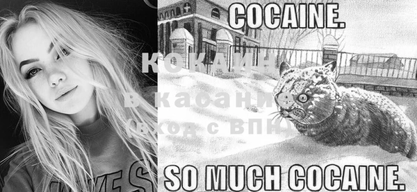 крисы Инсар