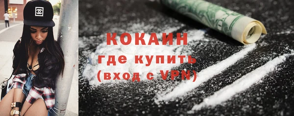 трава Инта