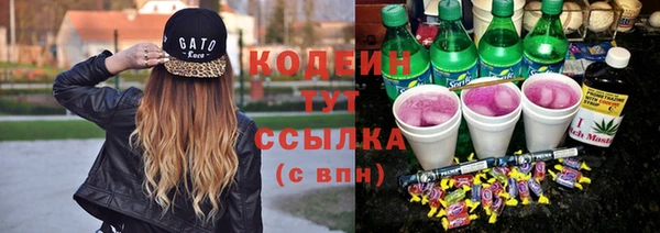 трава Инта
