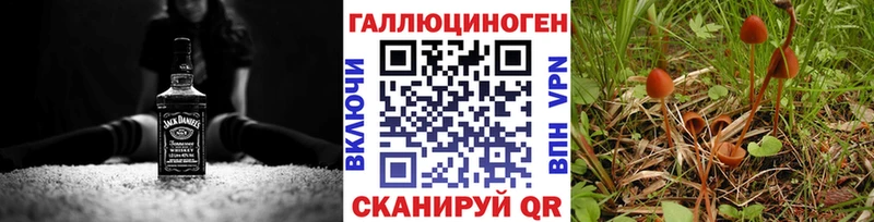 Галлюциногенные грибы Psilocybe  Купить закладки  Свирск 